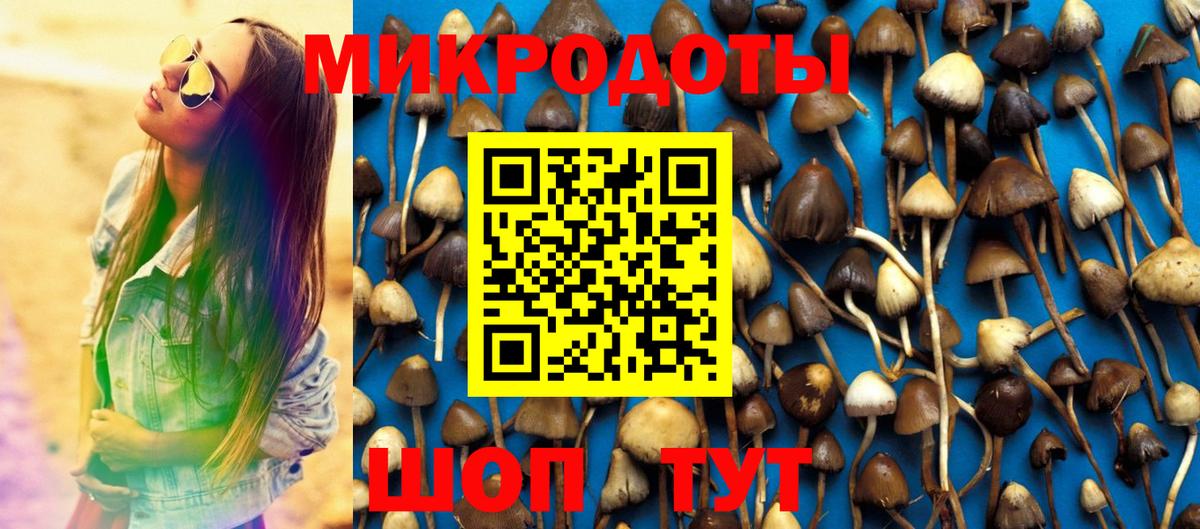 Галлюциногенные грибы мицелий Мурино