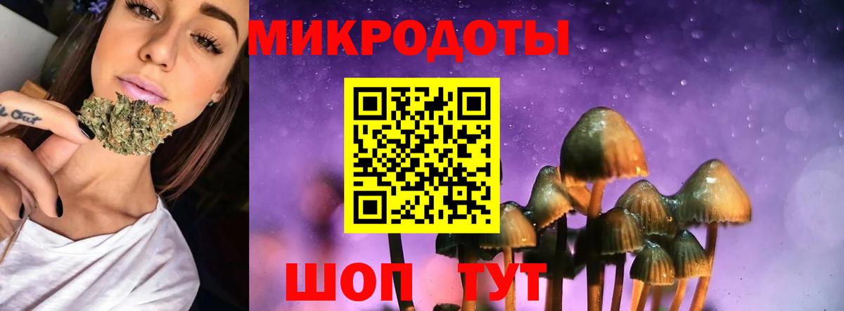 Мурино  Галлюциногенные грибы мицелий  Вход с VPN 